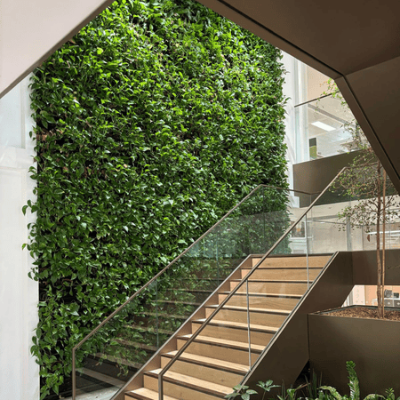 Live green wall using dead space on a wall in a seating space in an office