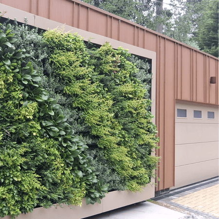Exterior wall display on the outside of a building to make a dull wall green