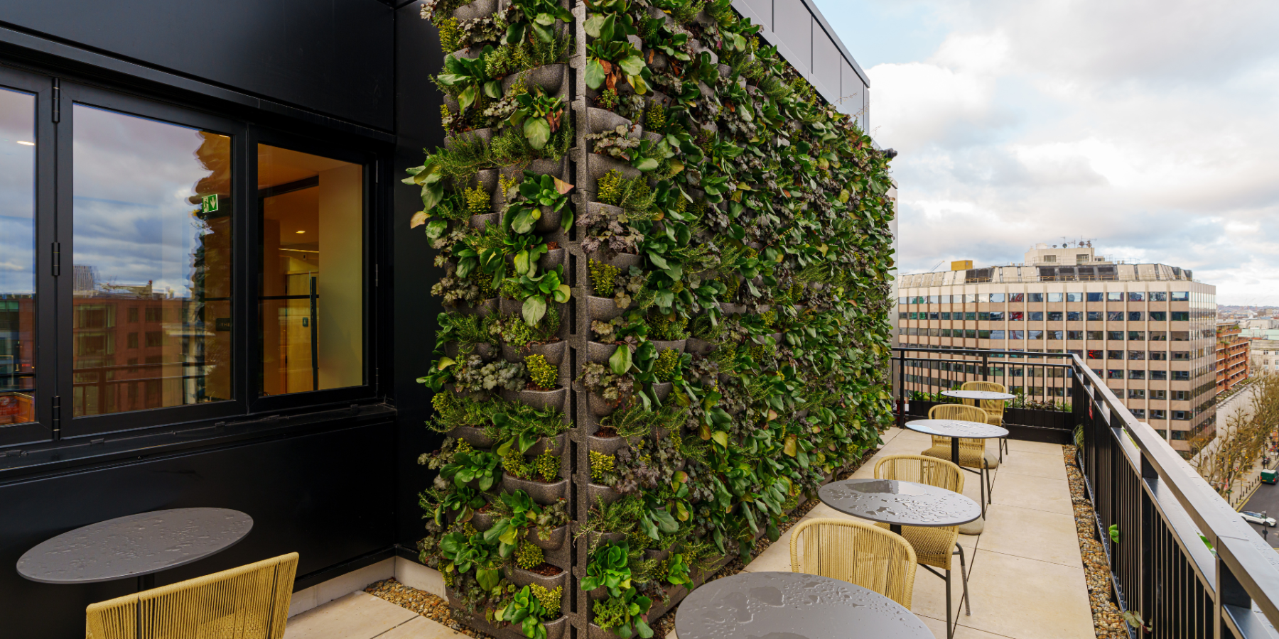 Outdoor Green Walls