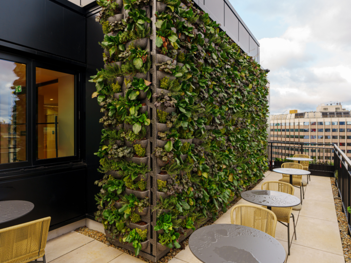 Outdoor Green Walls