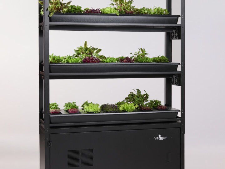 Black Urban Farming Unit