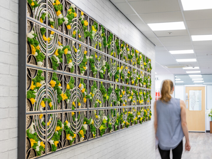 Biophilic Art design