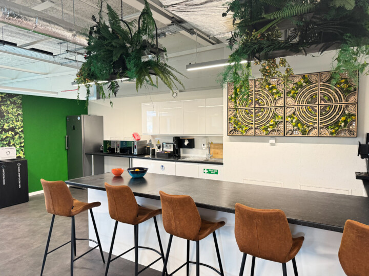 Biophilic Art display in a kitchen