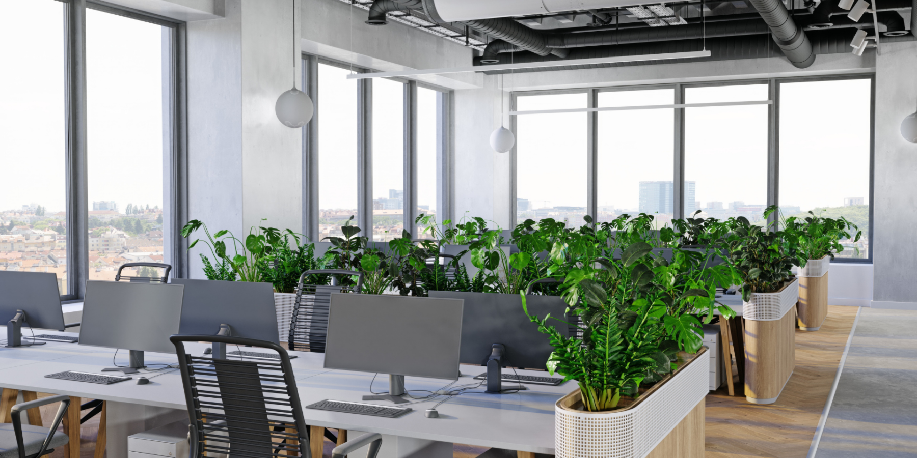 Plants next to desks in an office