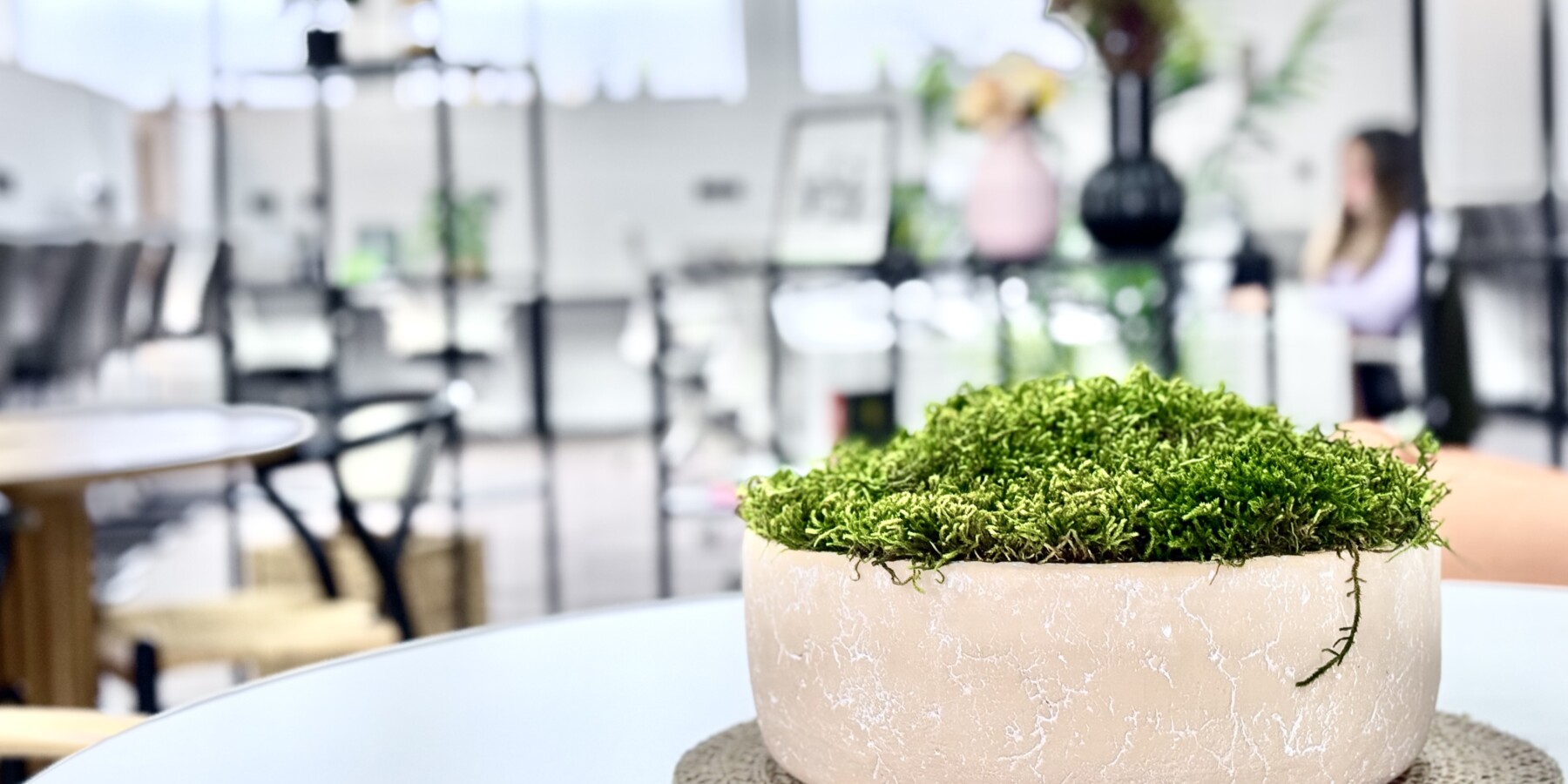 Moss in a pot on a table