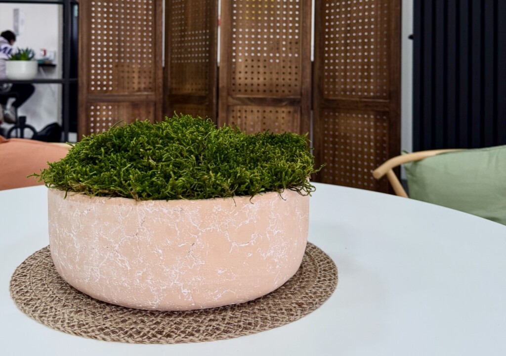 Moss in a pot on top of a table in an office