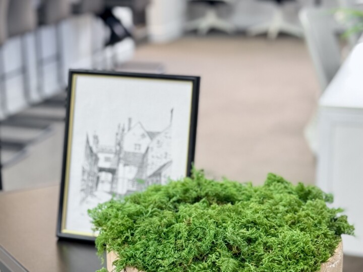 Moss Table