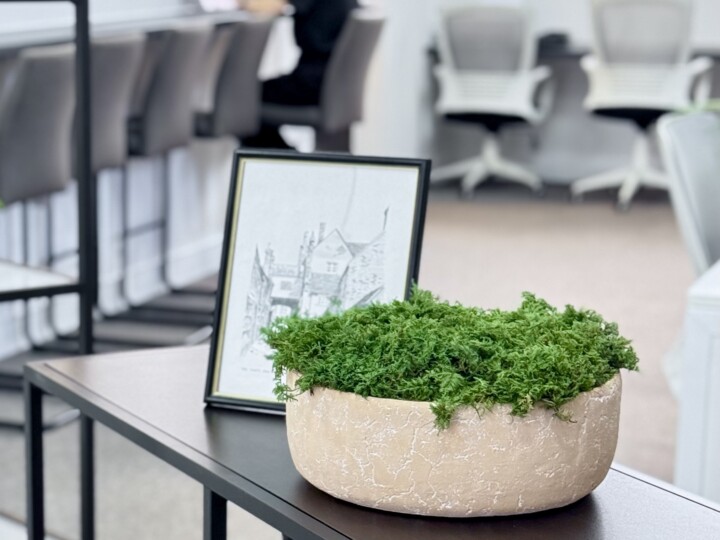 Moss table in an office environment