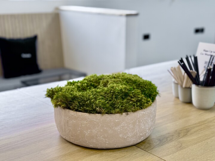Moss Table from Urban Planters on a table