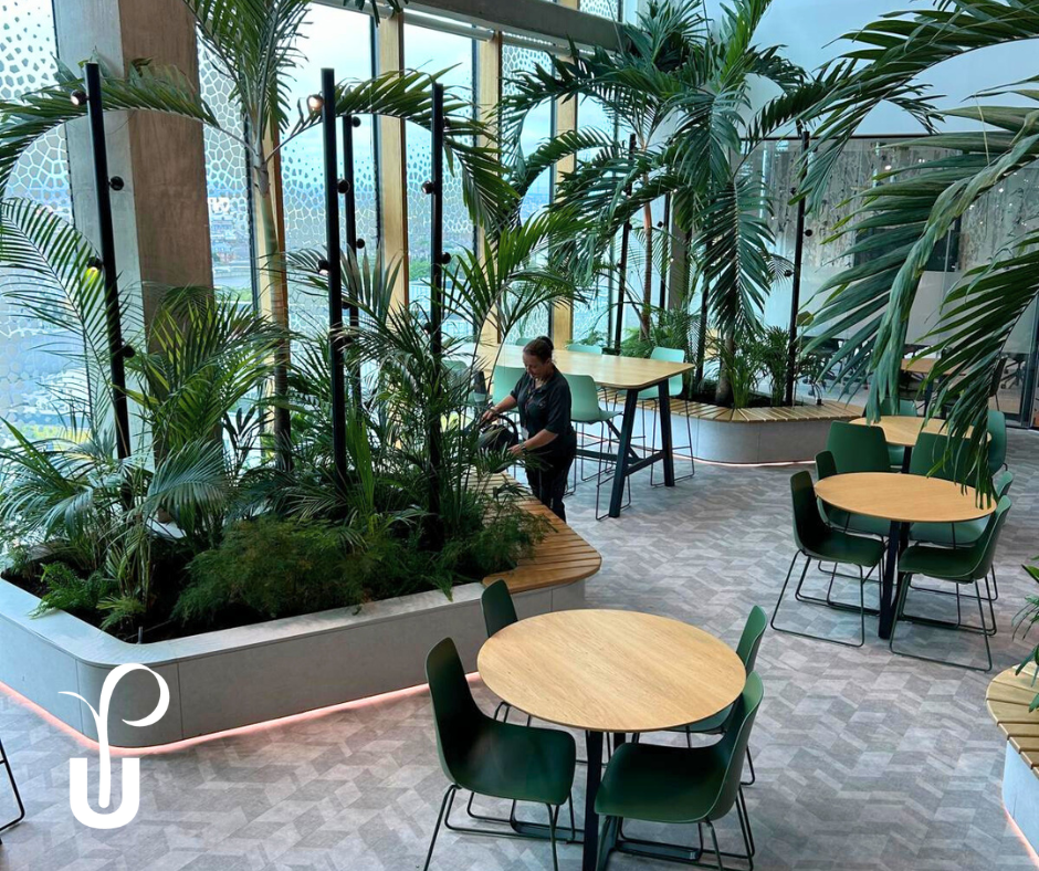 A bunch of plants in a seating area in an office space