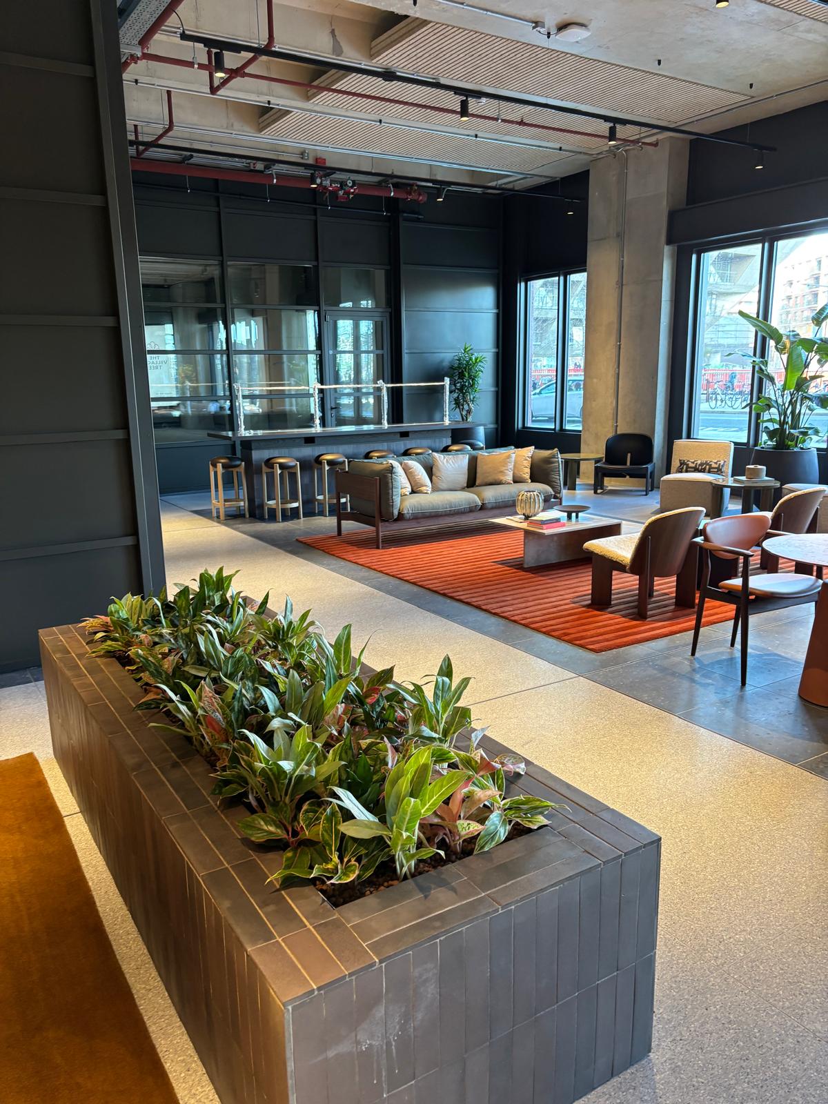 Plants in a plant bed in an office space